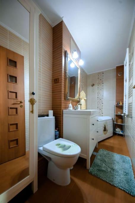 Apartament Lux Crialy - 75 M2 - Free Parking Temešvár Exteriér fotografie